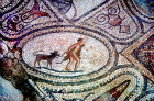 Man and dog, Roman mosaic, Volubilis, Morocco